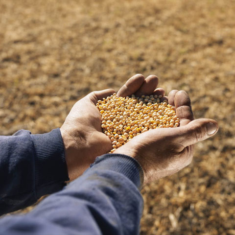 agriculture and people