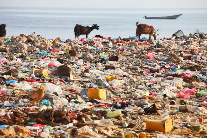 environment
